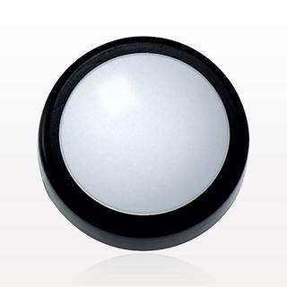 Flat Threaded Window Cap with Black Trim for 29557