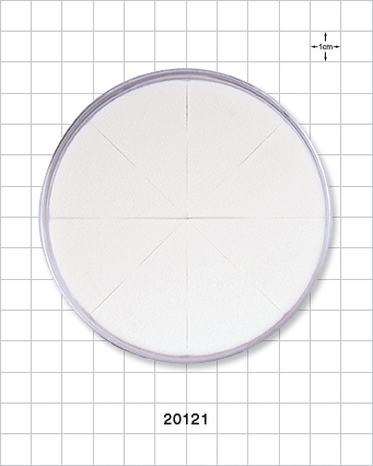 White 8-Piece Wedge Sponge Wheel in Clear Container