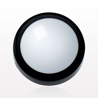 Flat Threaded Window Cap with Black Trim for 29557